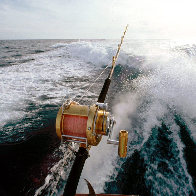 SPORTFISHING TOURS