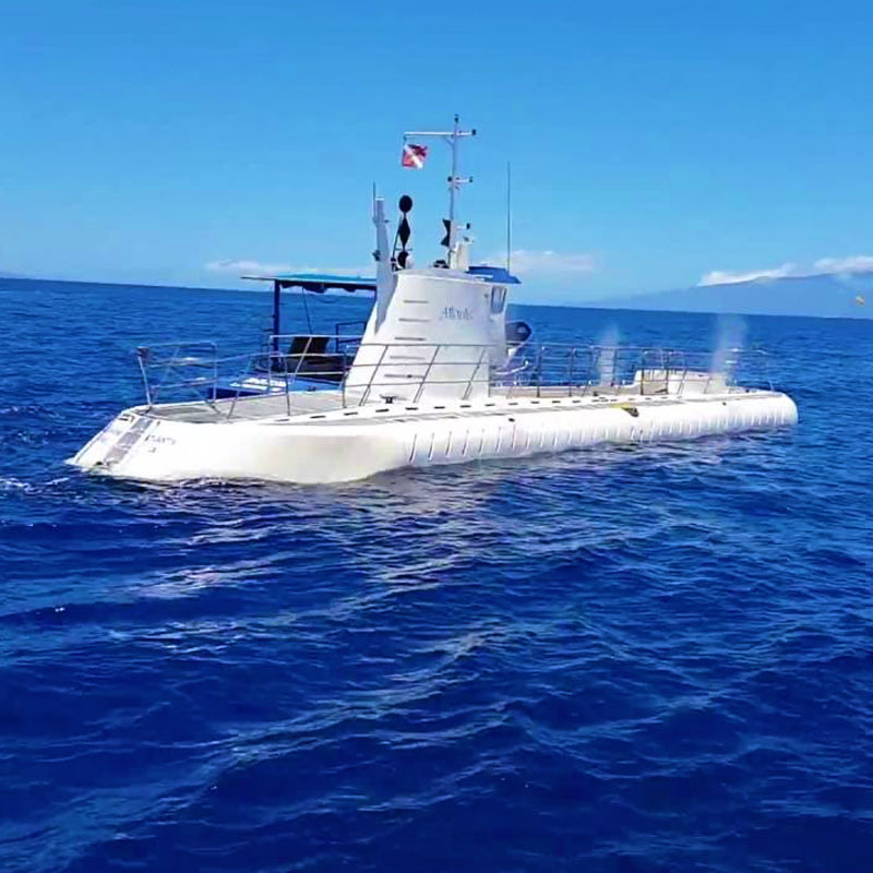 SUBMARINE TOURS