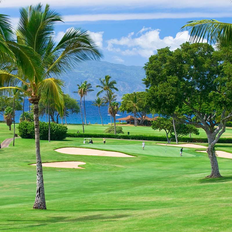 World of Maui Golf