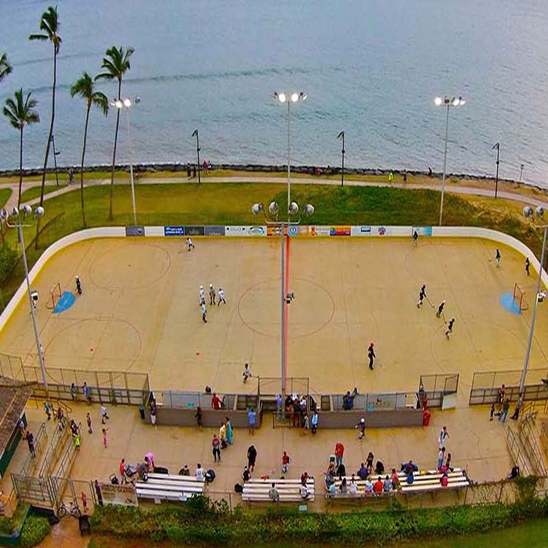 INLINE HOCKEY