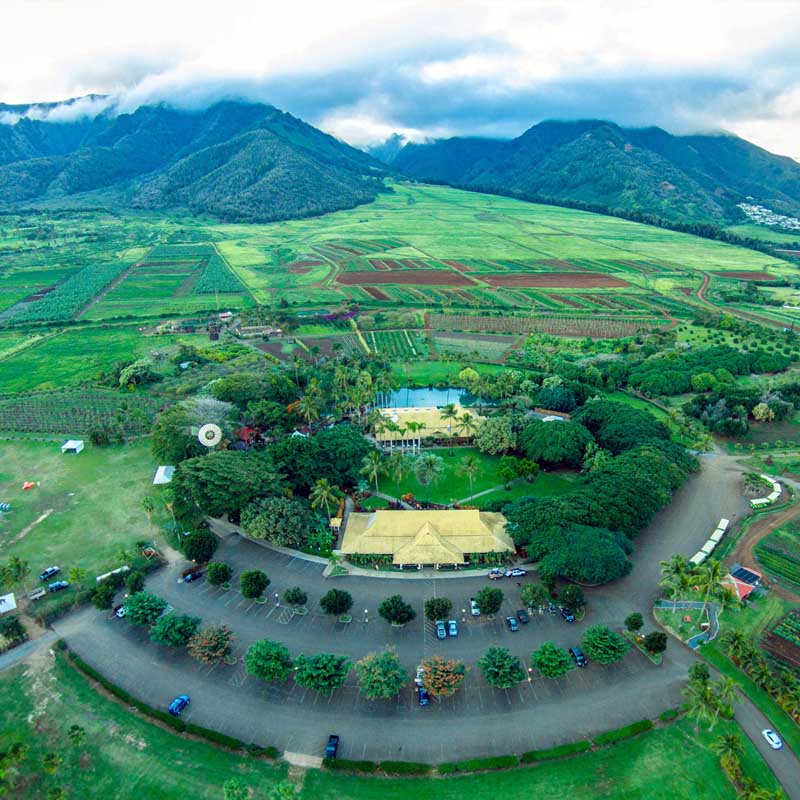 MAUI TROPICAL PLANTATION